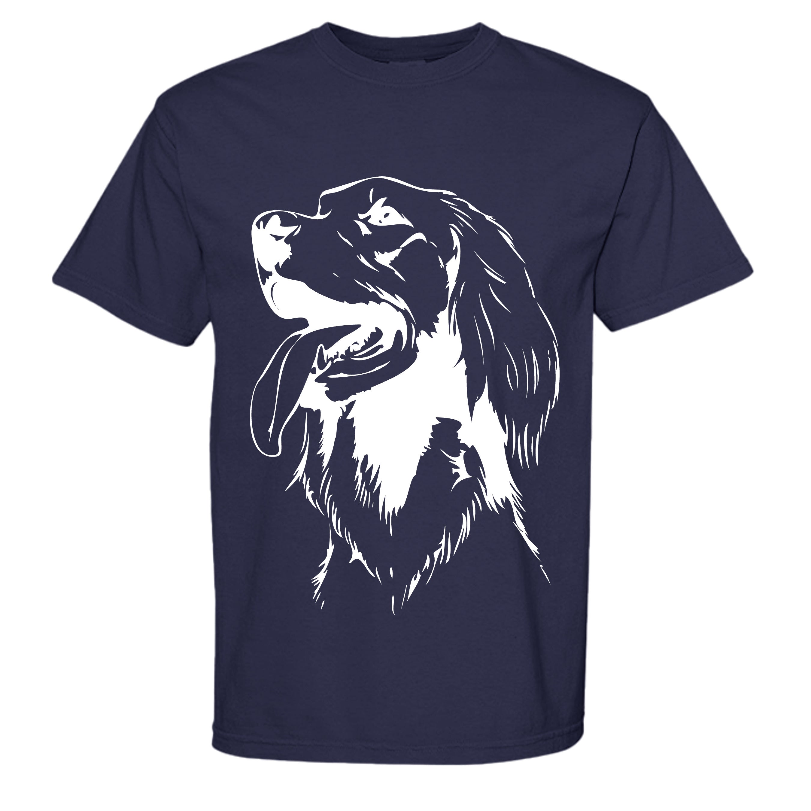 TRUE NAVY - C1717 - FRONT